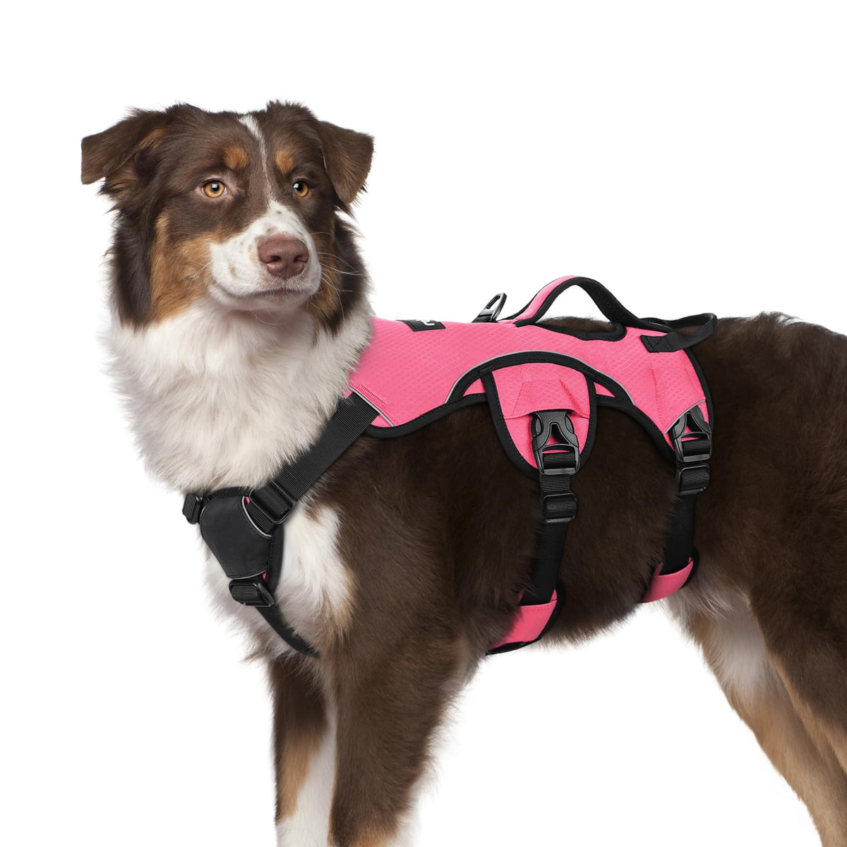 Harnais rabbitgoo anti-évasion pour chien, rose, sécurité et contrôle renforcés.