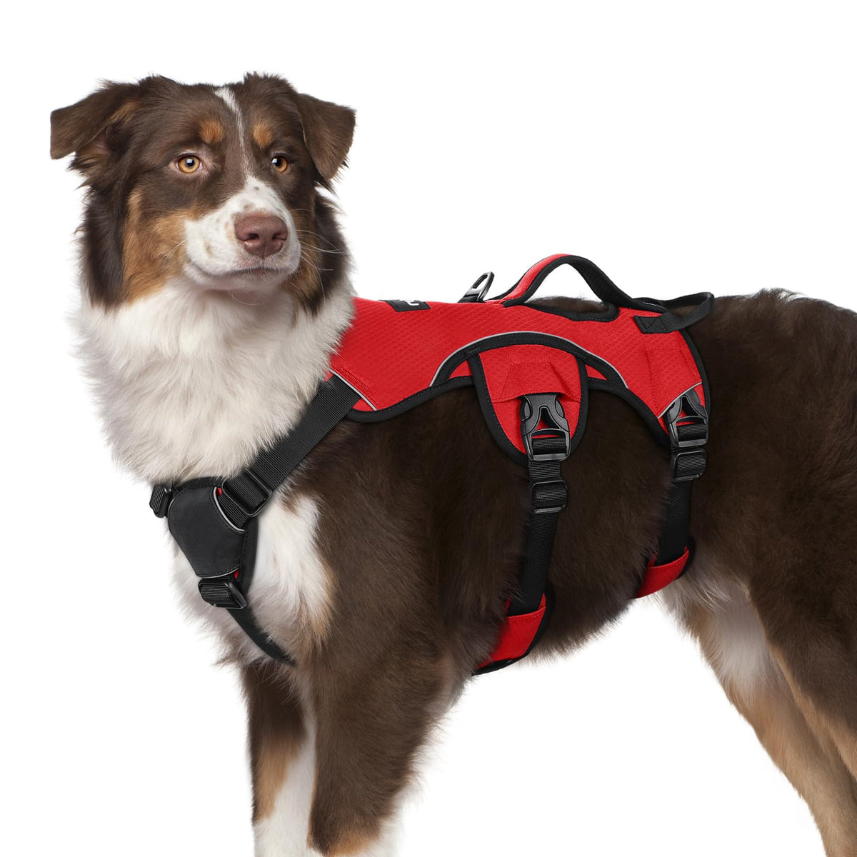 Harnais Rabbitgoo anti-fuite plein-corps pour chien, sécurité et confort.