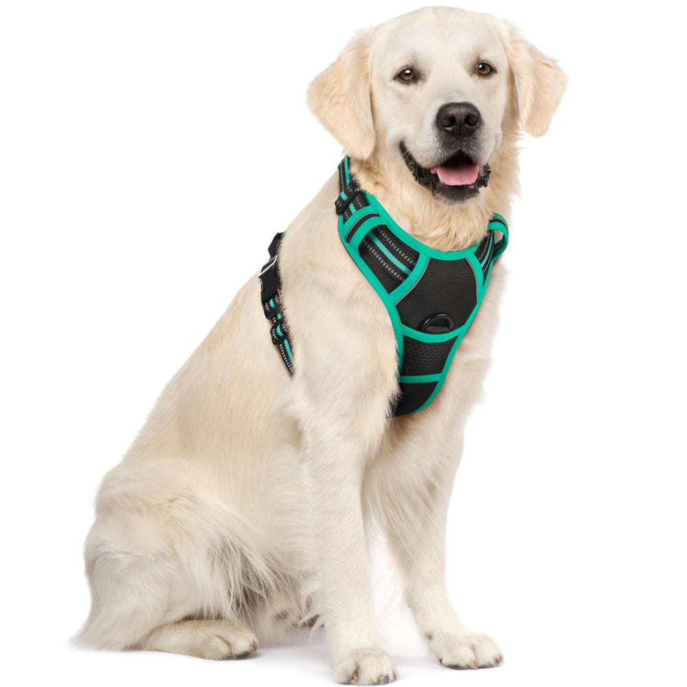 Rabbitgoo harnais anti-tirage pour chien avec 2 attaches pour un contrôle amélioré.