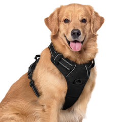 Harnais Rabbitgoo anti-tirage avec 2 attaches, pratique pour les promenades.