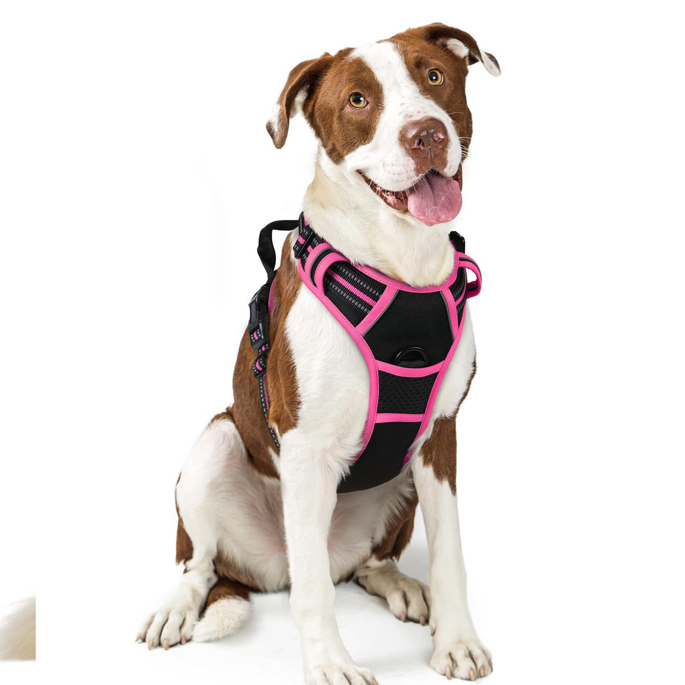 Harnais Rabbitgoo anti-tirage pour promenades sûres et confortables.