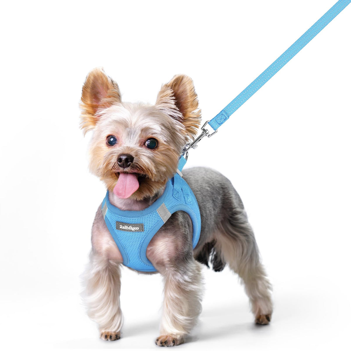 Harnais Rabbitgoo XS bleu, enfiler facilement pour petits chiens.