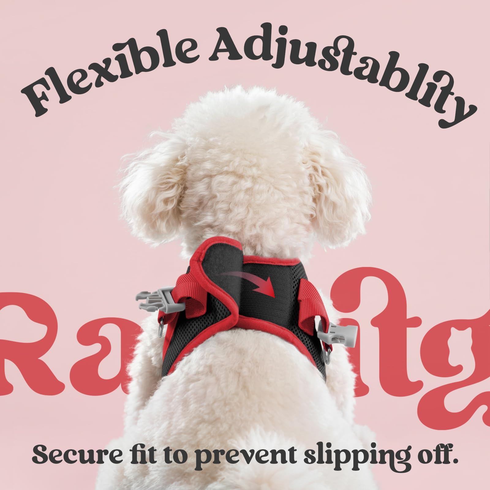 rabbitgoo harnais design tendance couleur coordonne pour petits chiens