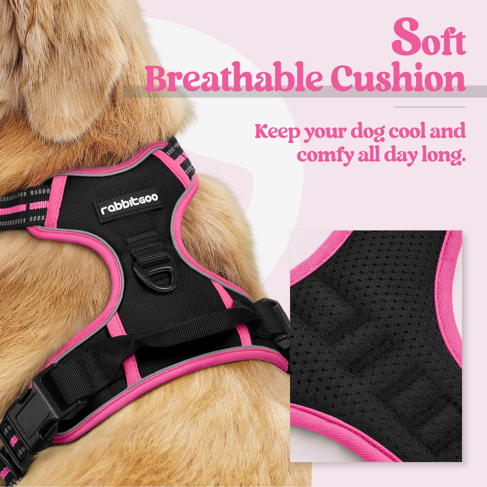 Harnais Rabbitgoo avec deux attaches, contrôle fiable lors des sorties.