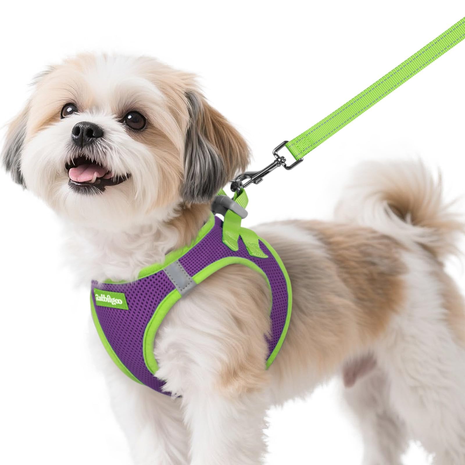 Harnais rabbitgoo enfilable et respirant pour petit chien, confort quotidien.