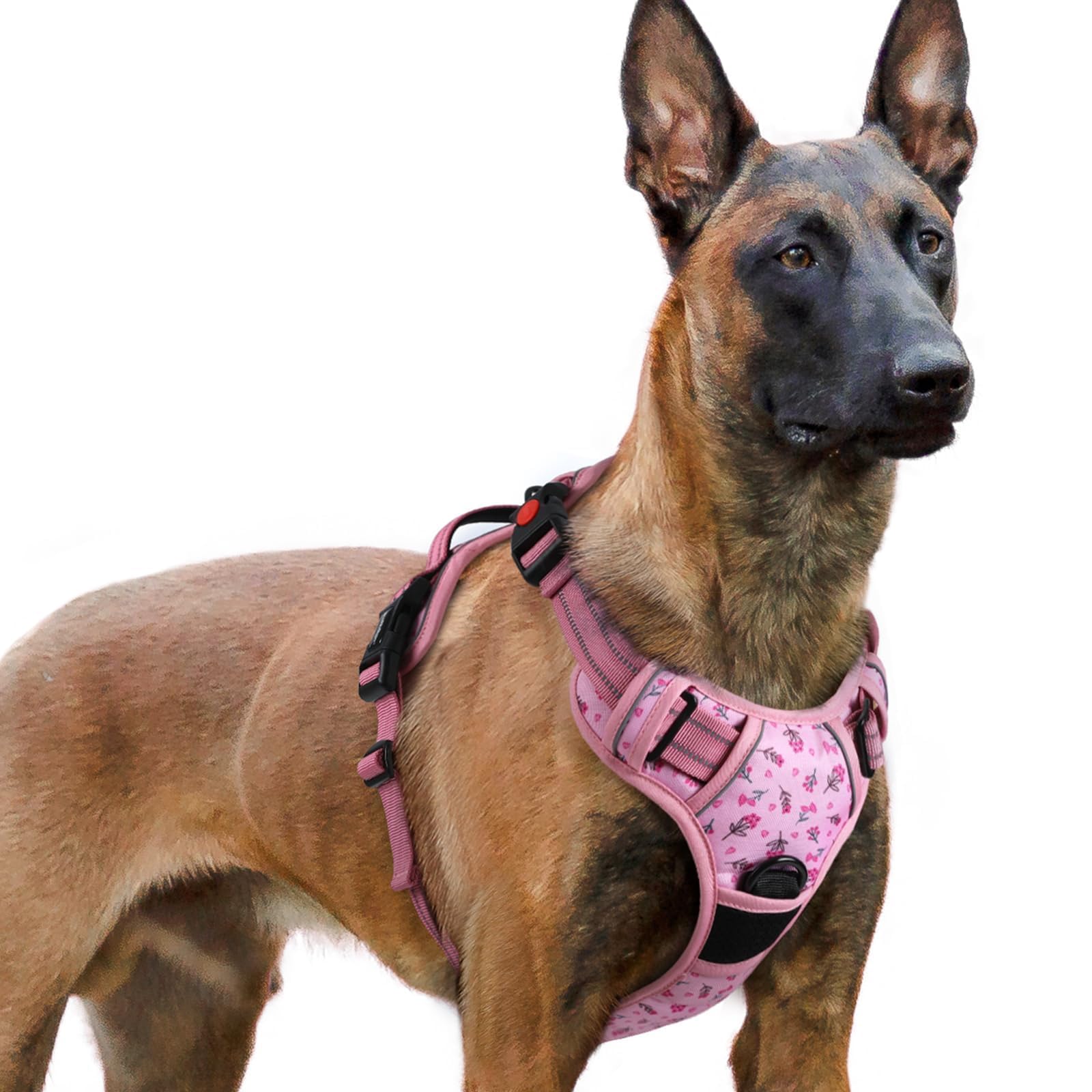 harnais rabbitgoo floral rose xl en vue avant, confort et sécurité pendant les promenades.