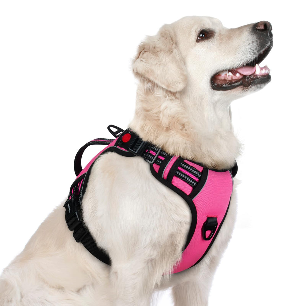 Rabbitgoo harnais pour chien grand avec 3 boucles, rose, facile à mettre
