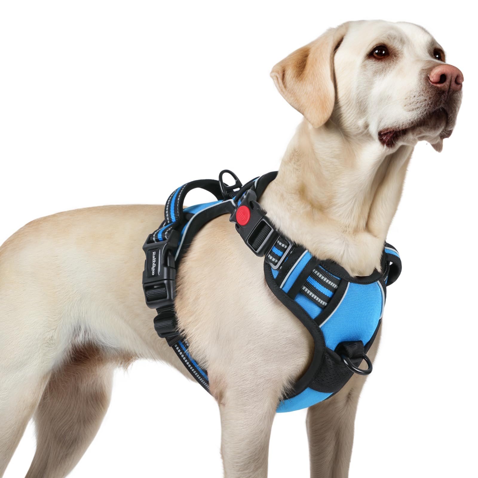 Harnais Rabbitgoo pour chien grand avec 3 boucles, ajustement rapide et sécurisé.