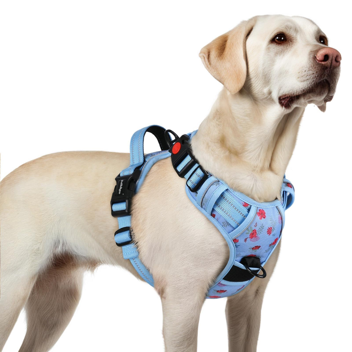 rabbitgoo harnais pour chien grand avec 3 boucles faciles à utiliser lors des sorties
