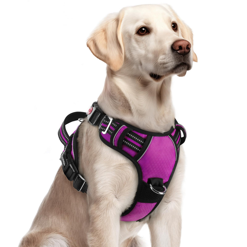 Rabbitgoo harnais chien grand – 3 boucles faciles a enfiler et securisant.