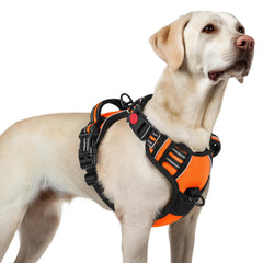 Rabbitgoo harnais chien grand — 3 boucles pour enfiler rapidement et en sécurité.