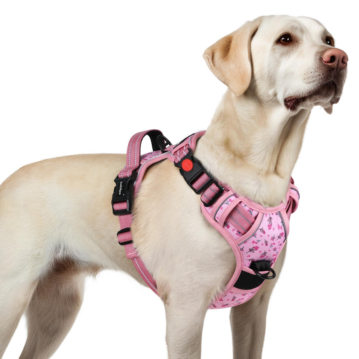 Harnais Rabbitgoo pour chien grand – 3 boucles pour un ajustement sûr lors des sorties