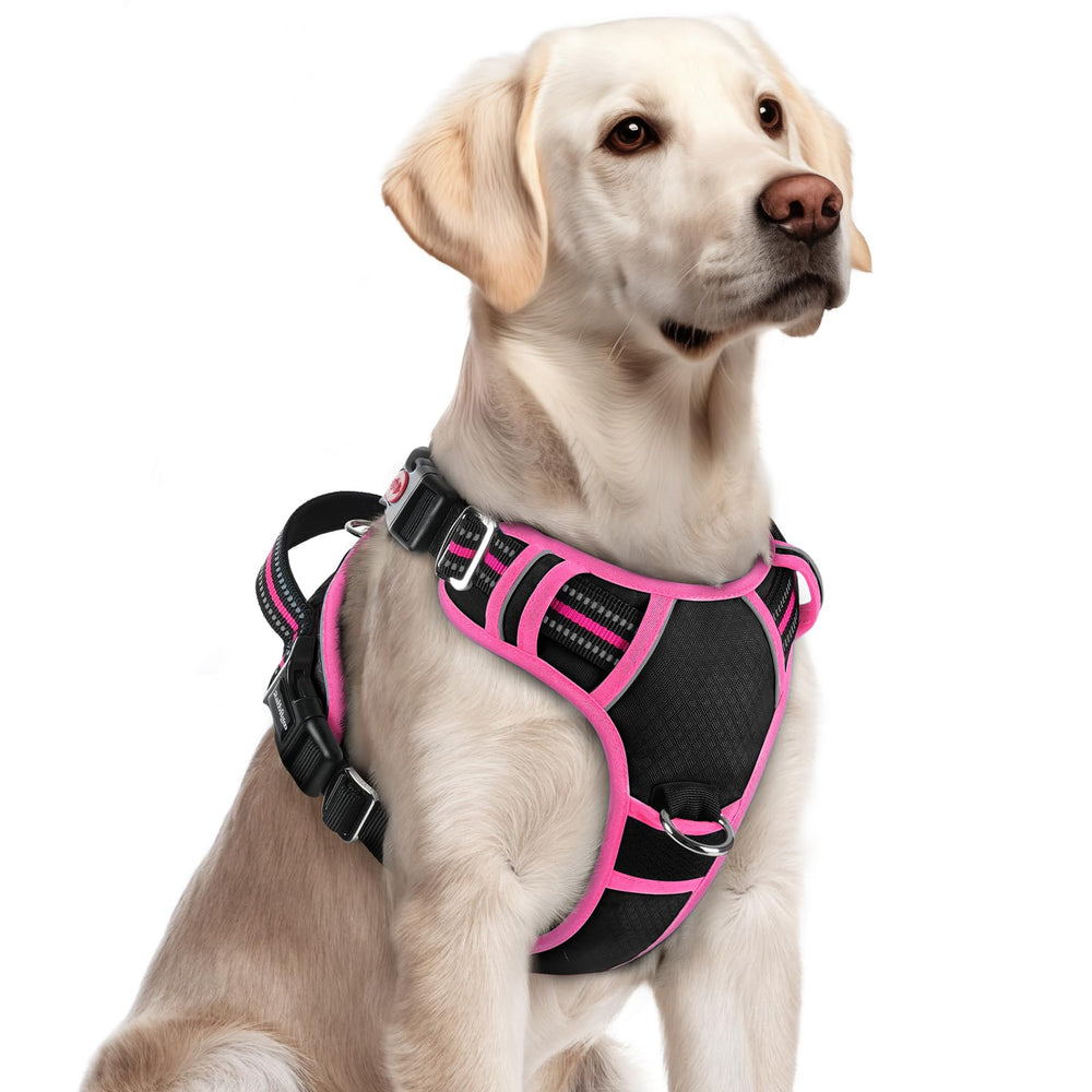 Harnais Rabbitgoo pour chien grand avec 3 boucles, mise en place rapide et pratique.