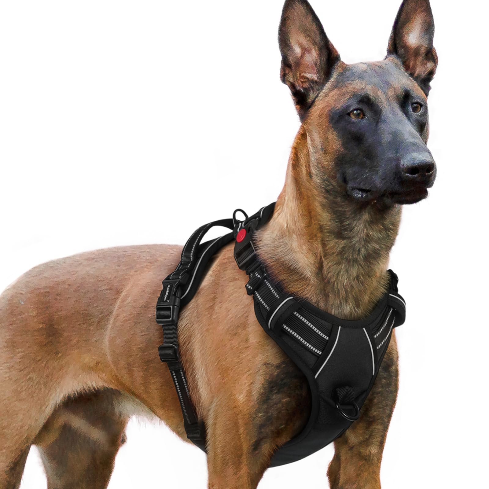 Rabbitgoo harnais-chien-grand, 3 boucles pour ajustement pratique et sûr.