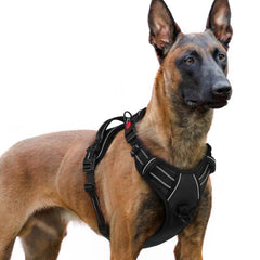 Rabbitgoo harnais-chien-grand, 3 boucles pour ajustement pratique et sûr.