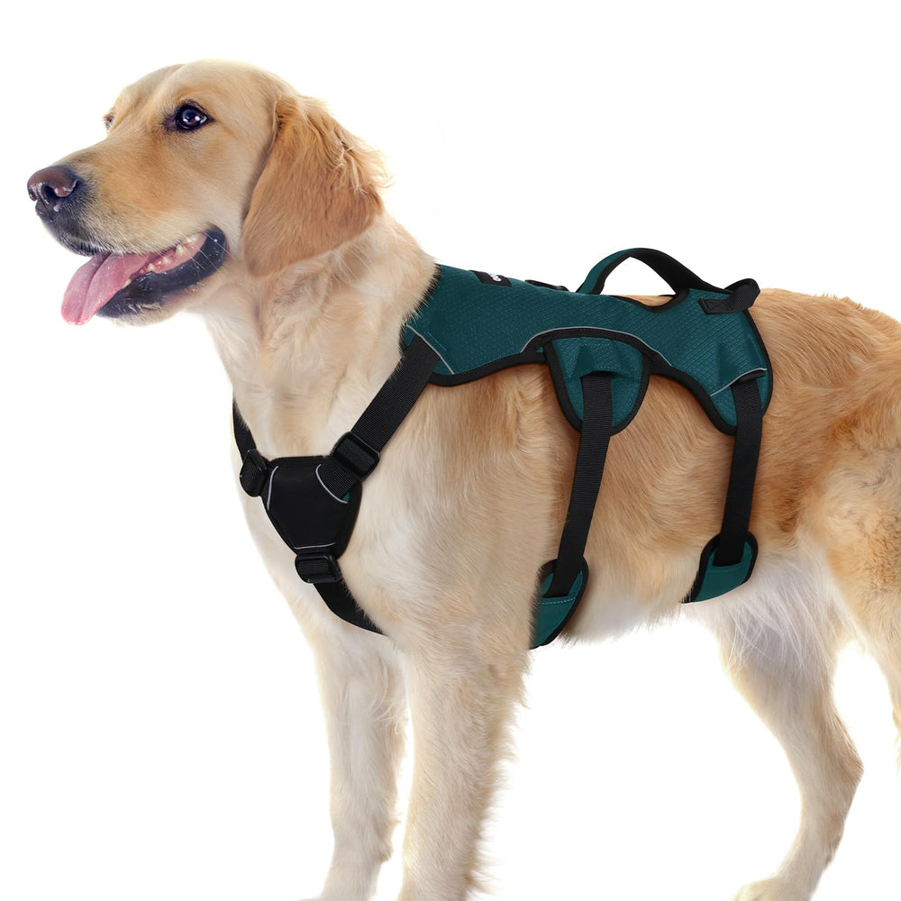 Harnais Rabbitgoo anti-echappement pour chien grand avec securite et controle