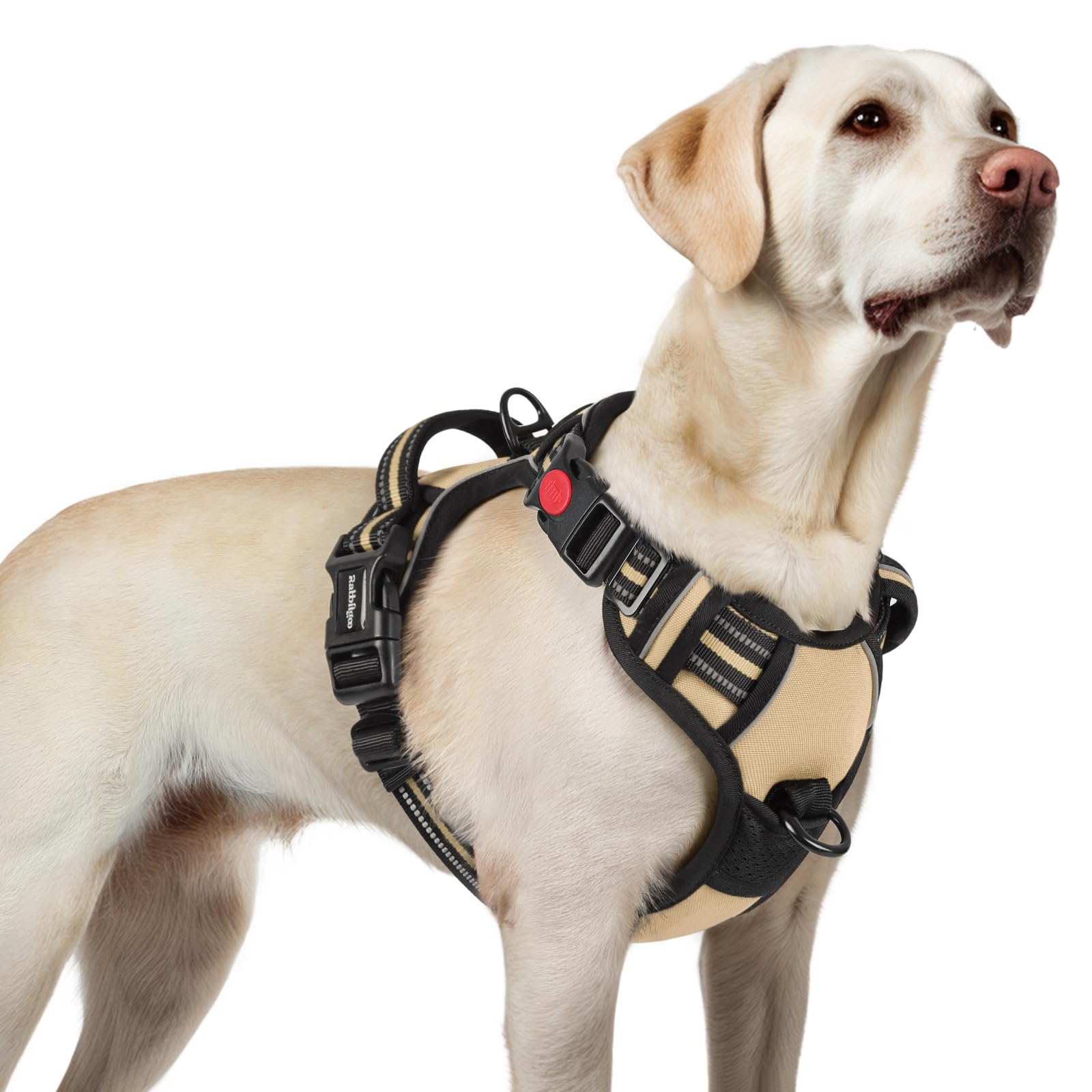 Harnais rabbitgoo anti-tir pour grand chien avec 3 boucles rapides et ajustement sûr.