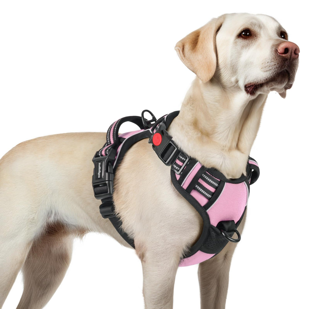 Harnais Rabbitgoo anti-tirage grand chien avec 3 boucles, enfilage rapide et sûr.