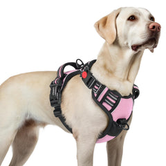 Harnais Rabbitgoo anti-tirage grand chien avec 3 boucles, enfilage rapide et sûr.