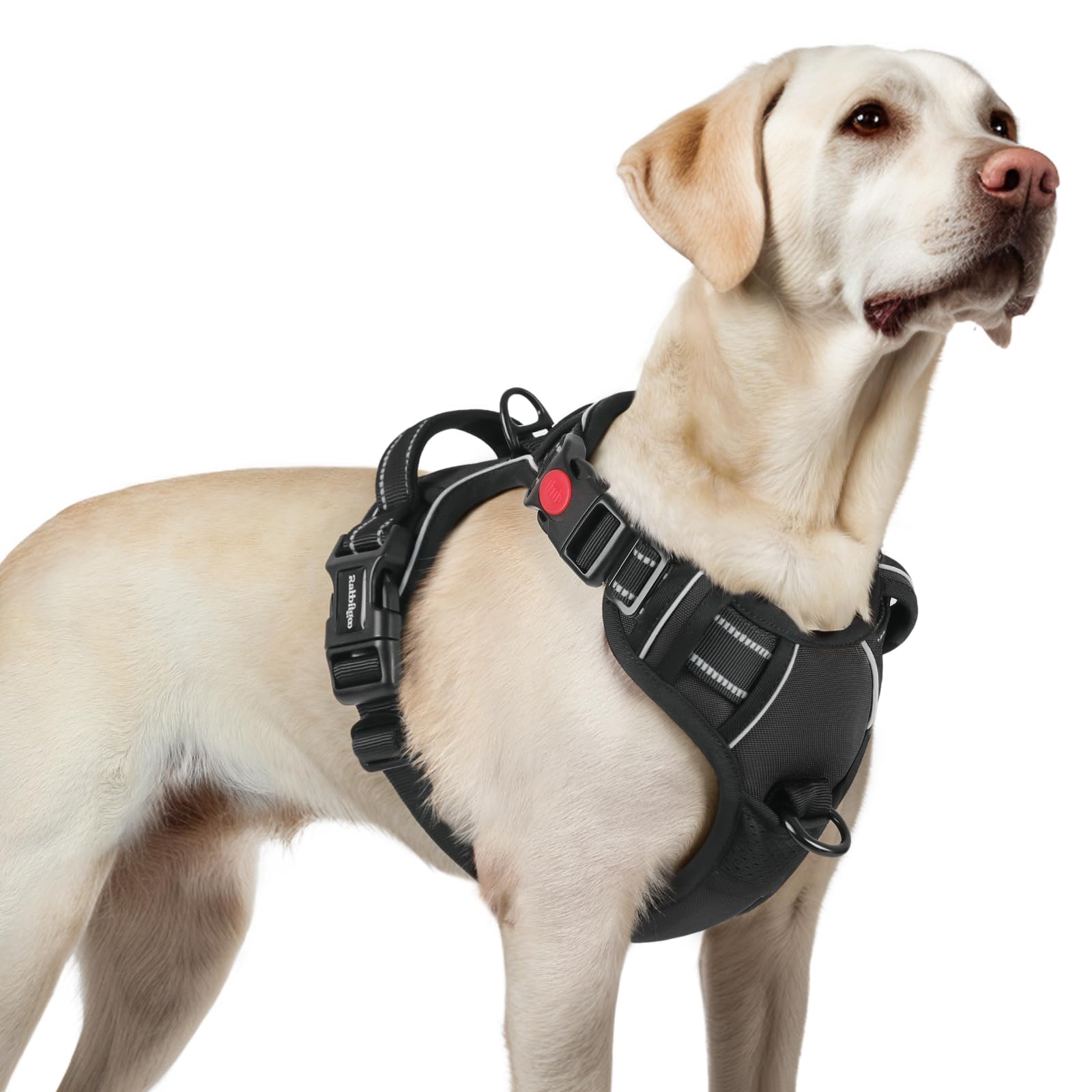 Harnais Rabbitgoo anti-tirage pour grand chien, pour promenades sans traction et sécurité.