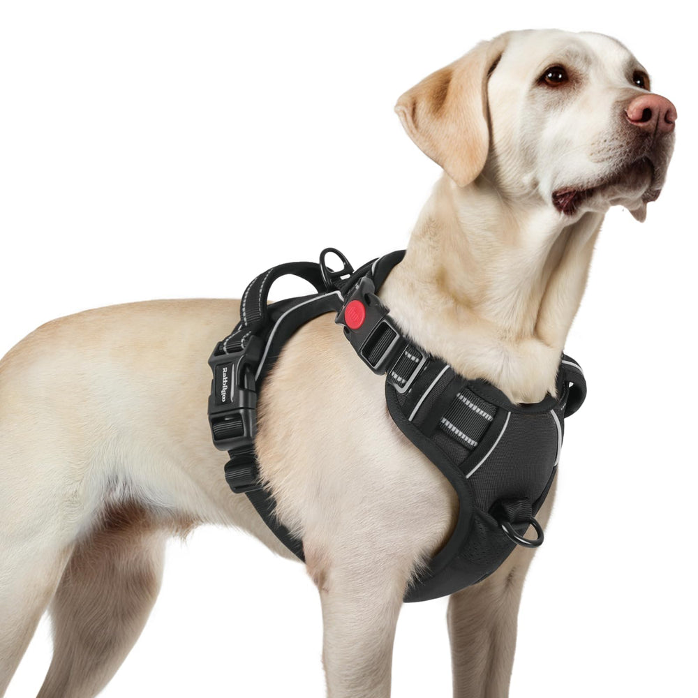 Harnais Rabbitgoo anti-tirage pour grand chien, pour promenades sans traction et sécurité.