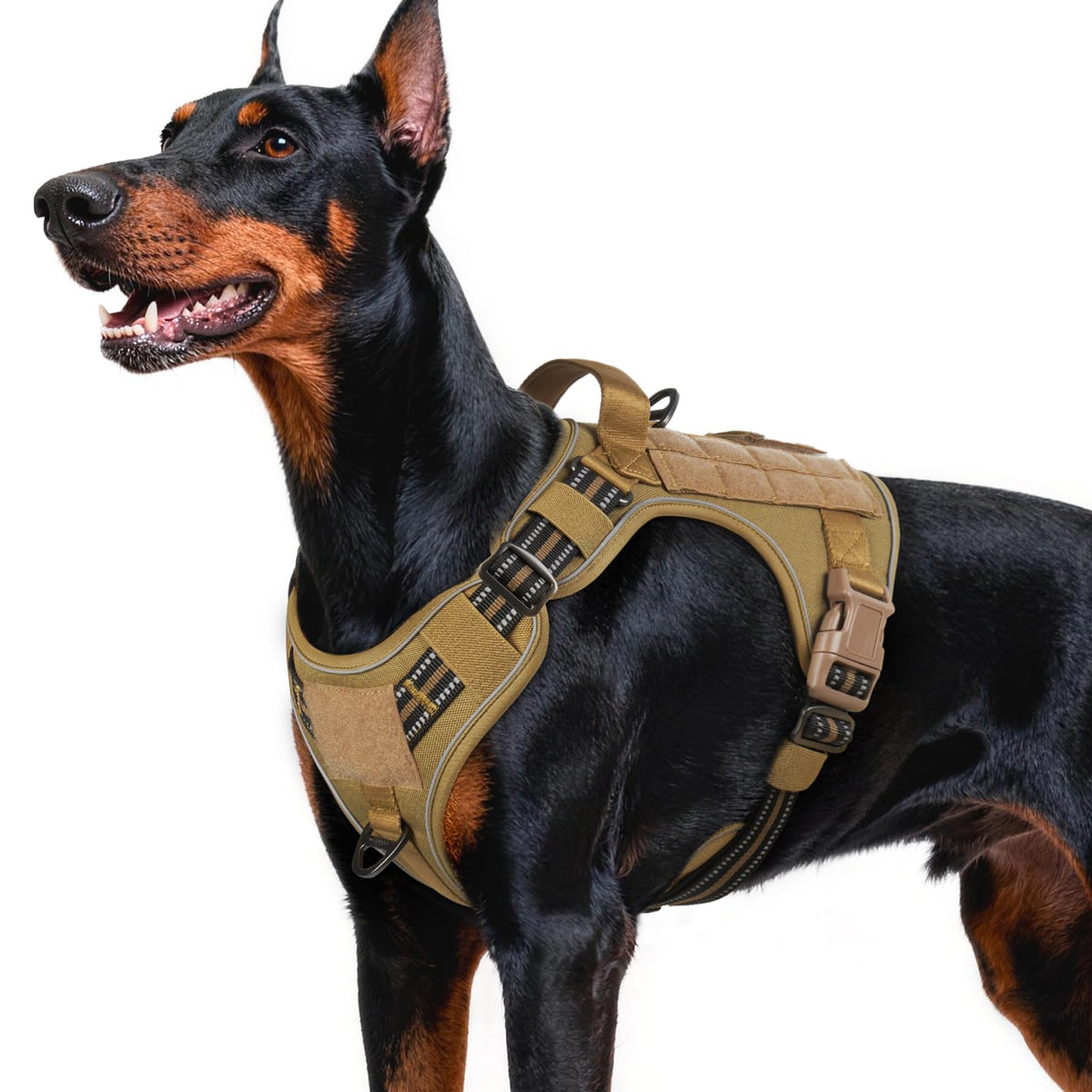 Harnais rabbitgoo pour chien grand, vue avant, confort et ajustement pour longues promenades