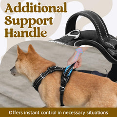Harnais rabbitgoo grand – boucles avant et arrière pour une flexibilité d’usage.