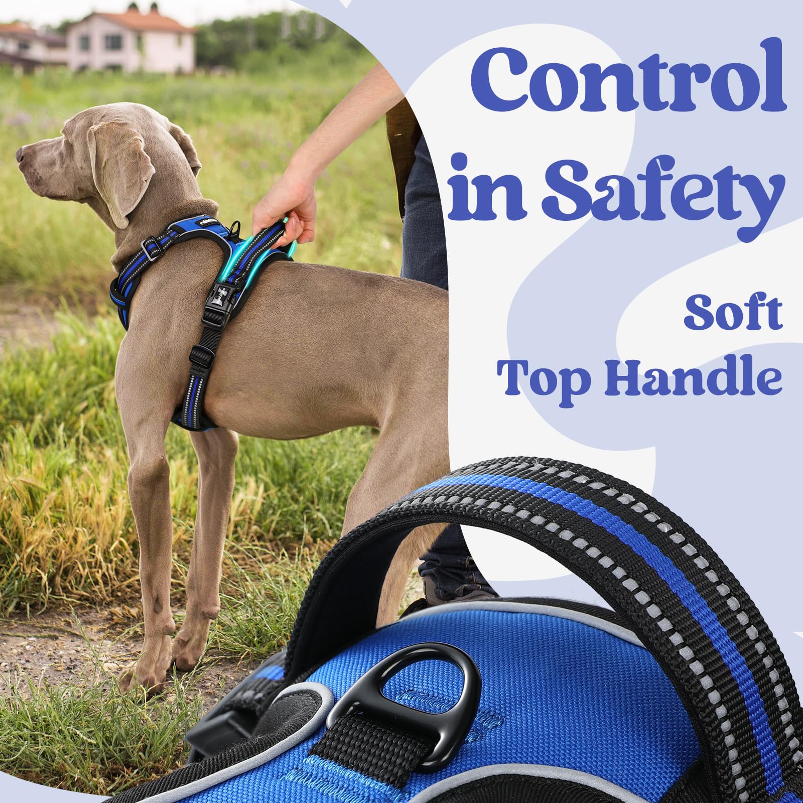 Rabbitgoo harnais grand avec poignée de contrôle pour entraînement et assistance