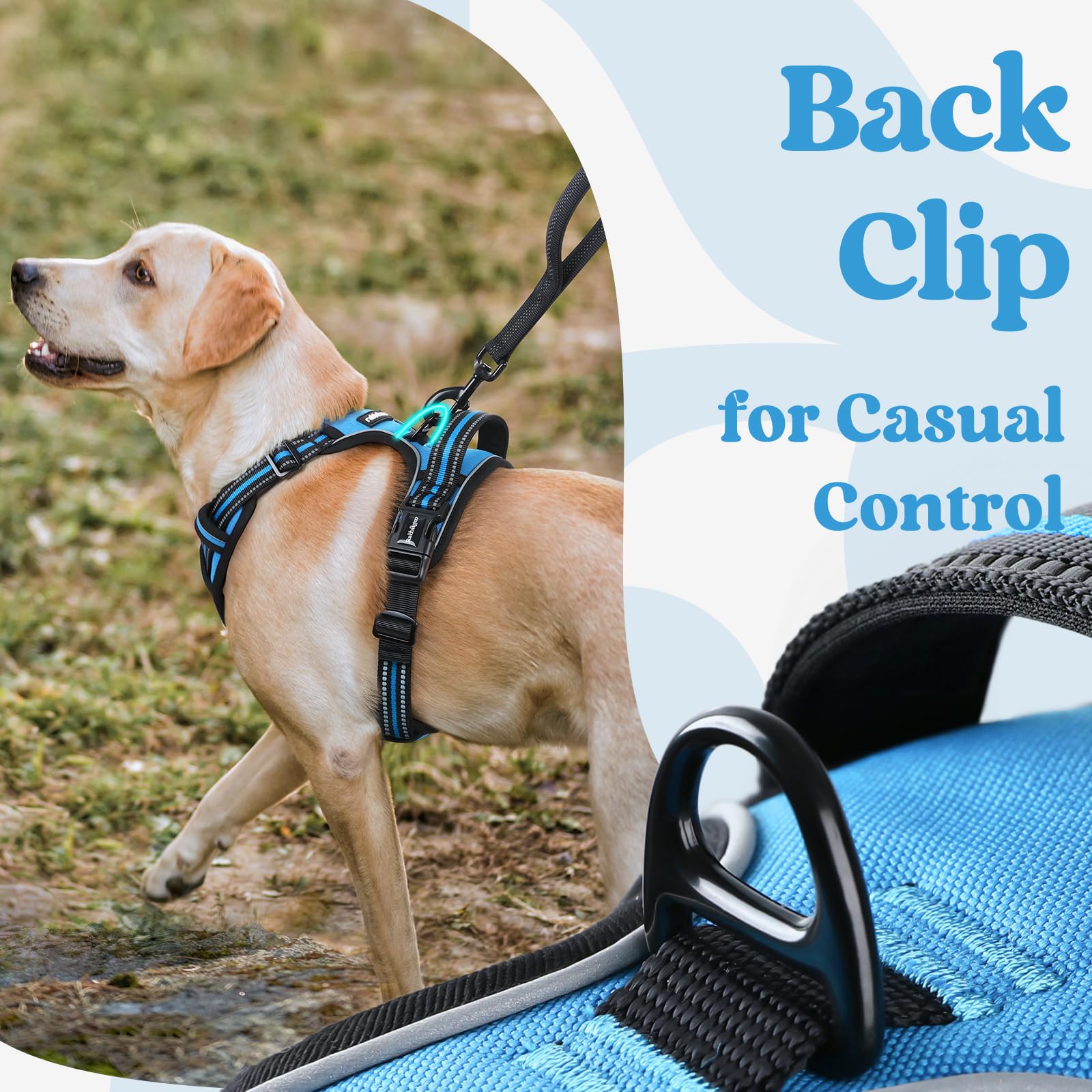 Rabbitgoo harnais: garnissage épais pour promenade sans irritation.