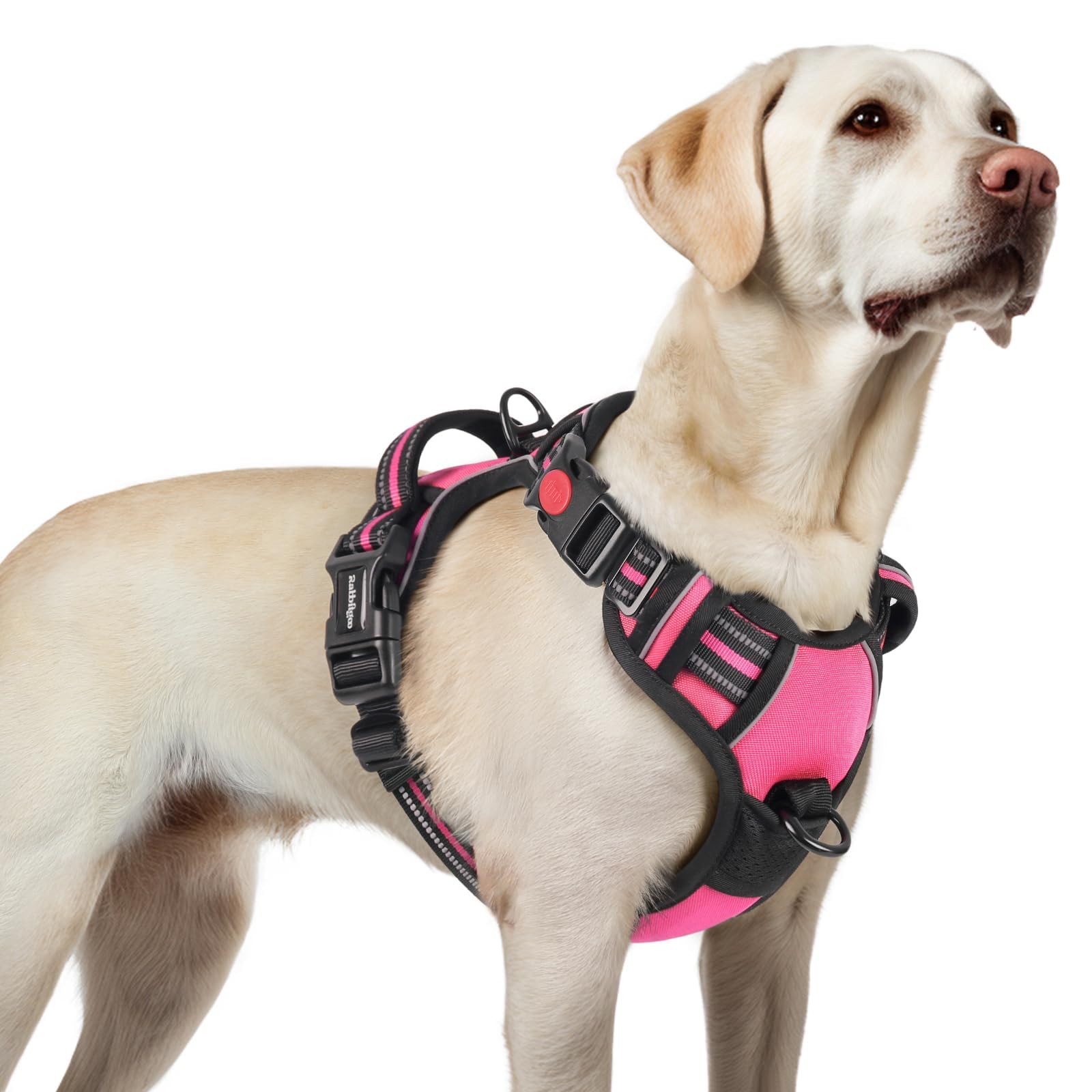 Harnais rabbitgoo pour chien grand avec 3 boucles pour un ajustement sûr