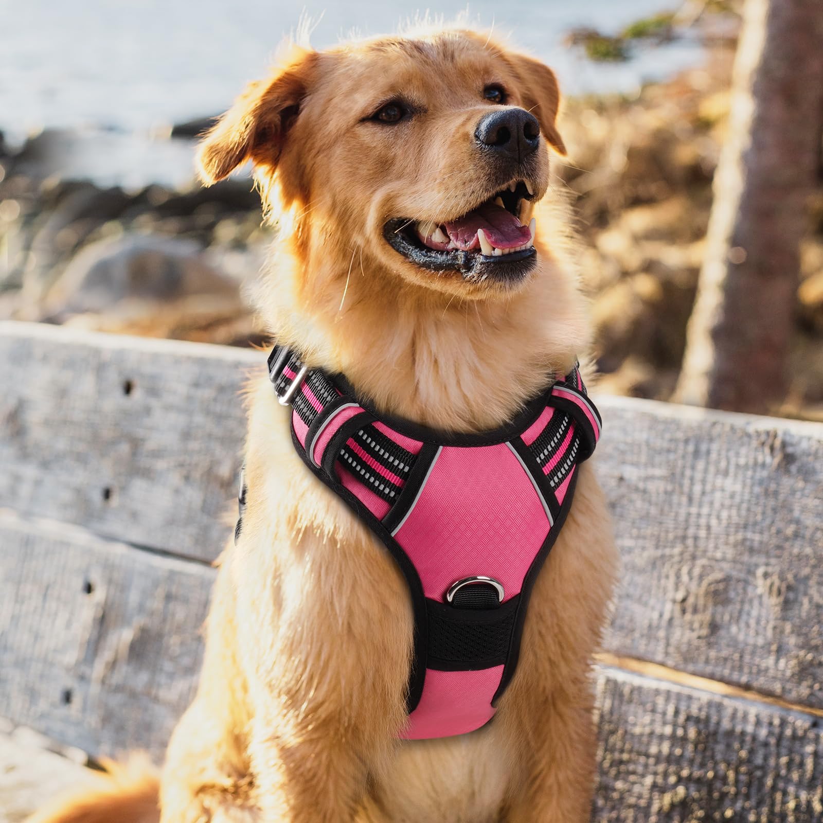 rabbitgoo harnais grand rose doublure rembourrée pour chien actif.