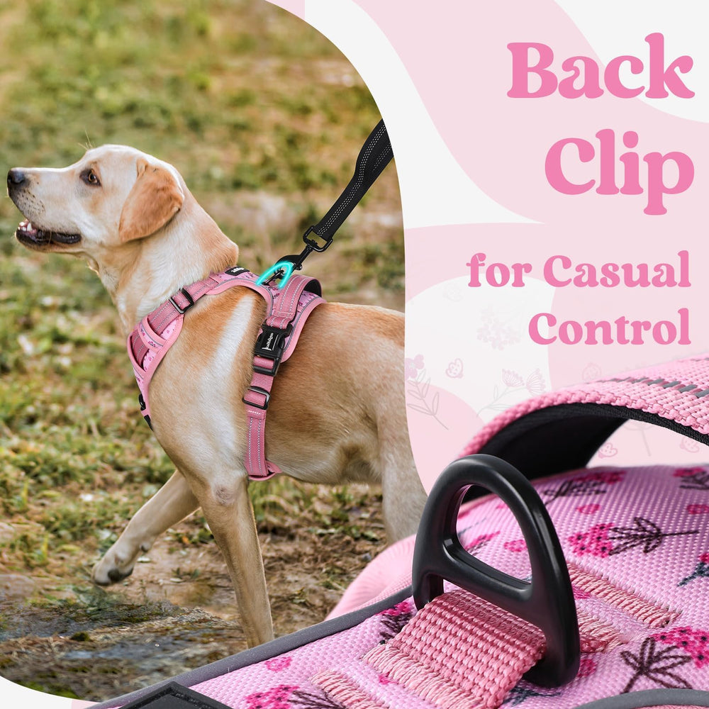 Harnais Rabbitgoo pour chien grand – sangles poitrine ajustables adaptées à la croissance