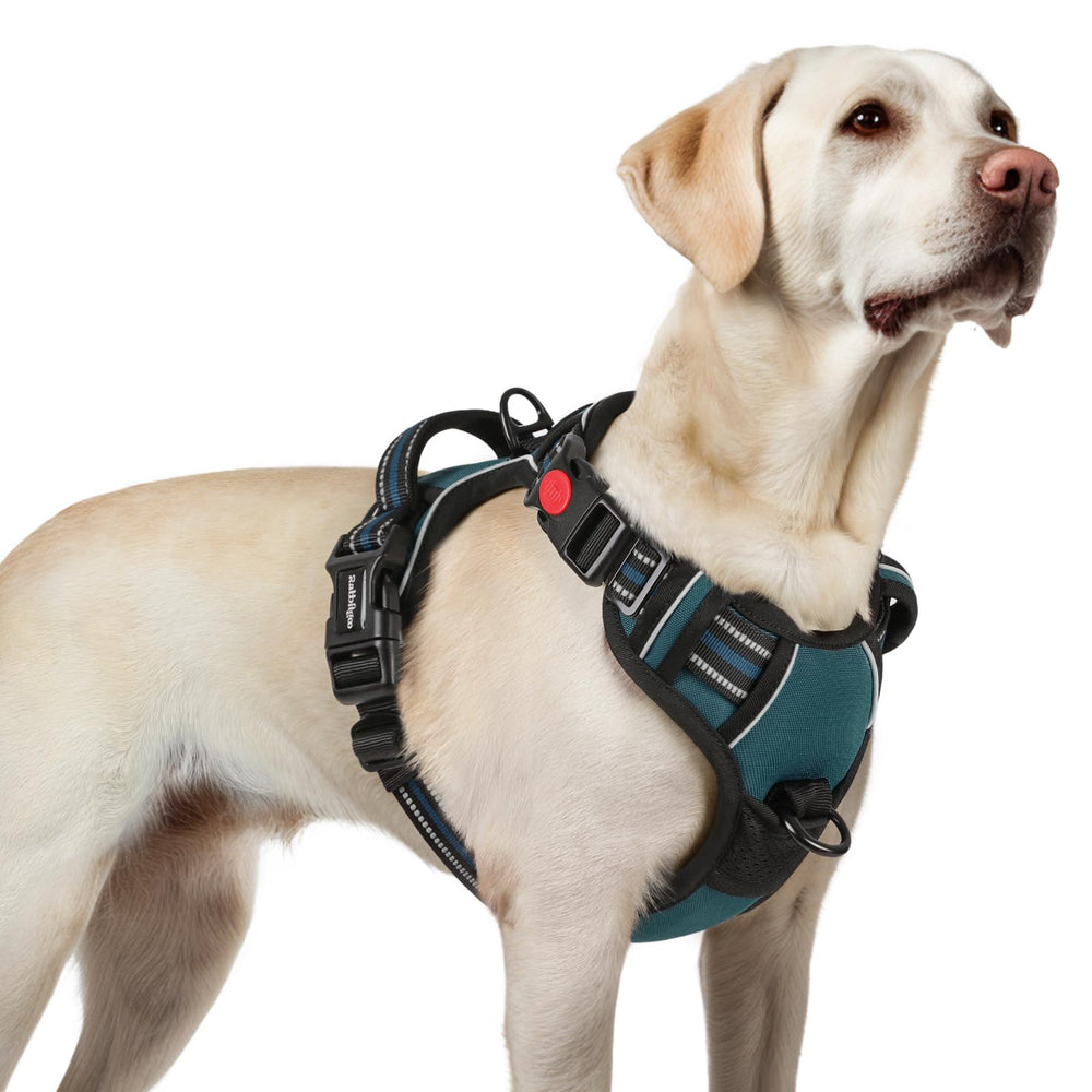 Harnais Rabbitgoo pour chien grand avec trois attaches, sécurité renforcée en promenade.