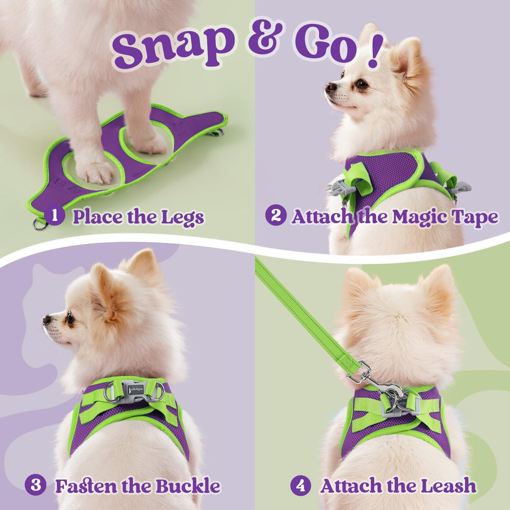 Tissu maille respirante et bords doux du harnais rabbitgoo pour chien.
