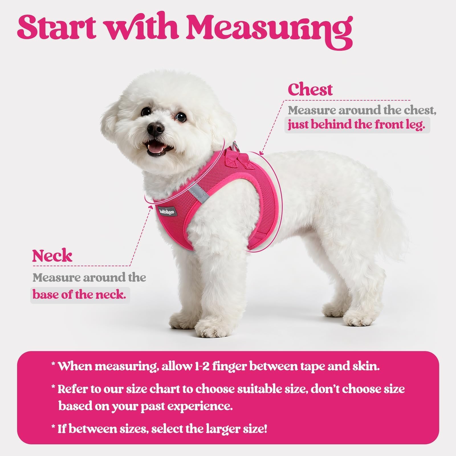 Harnais Rabbitgoo mesh respirant, ventilation optimale lors des promenades.