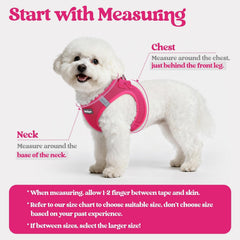 Harnais Rabbitgoo mesh respirant, ventilation optimale lors des promenades.