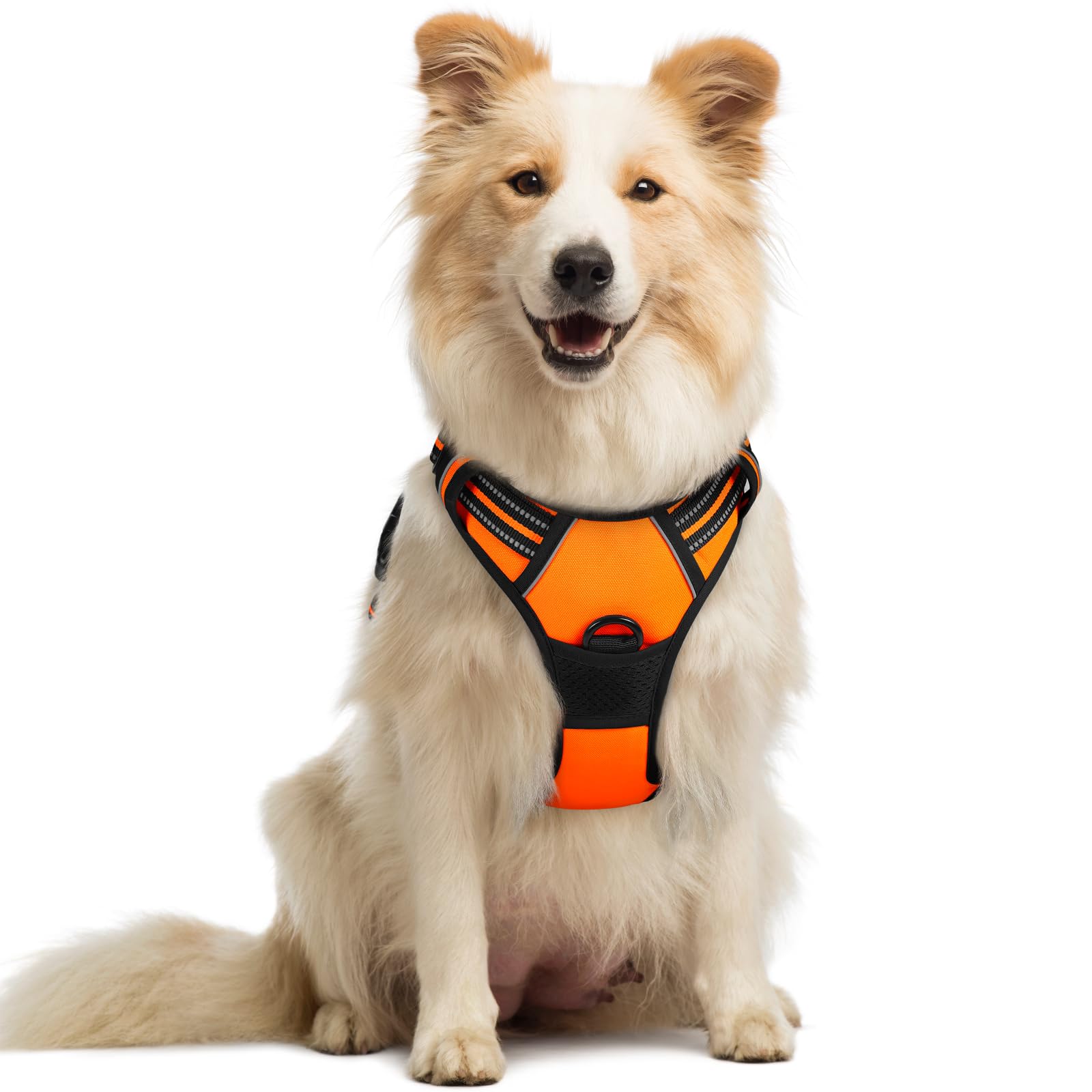 Harnais Rabbitgoo pour chien moyen anti-tirage avec 2 attaches