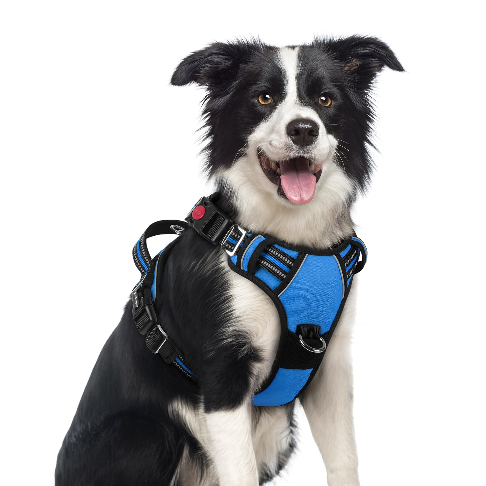 Harnais Rabbitgoo pour chien moyen bleu, vue avant, avec 3 boucles faciles à utiliser.