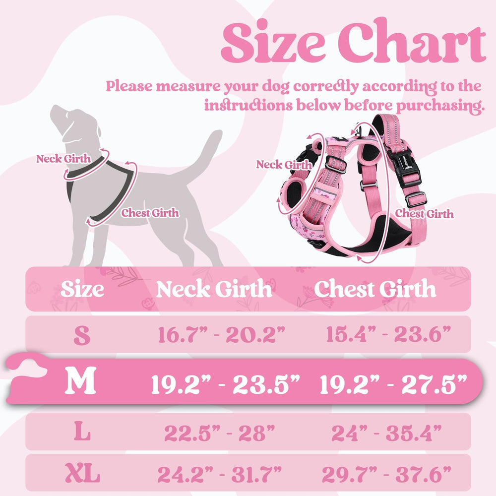 Harnais Rabbitgoo pour chien moyen, 3 boucles rapides facilitant l’application