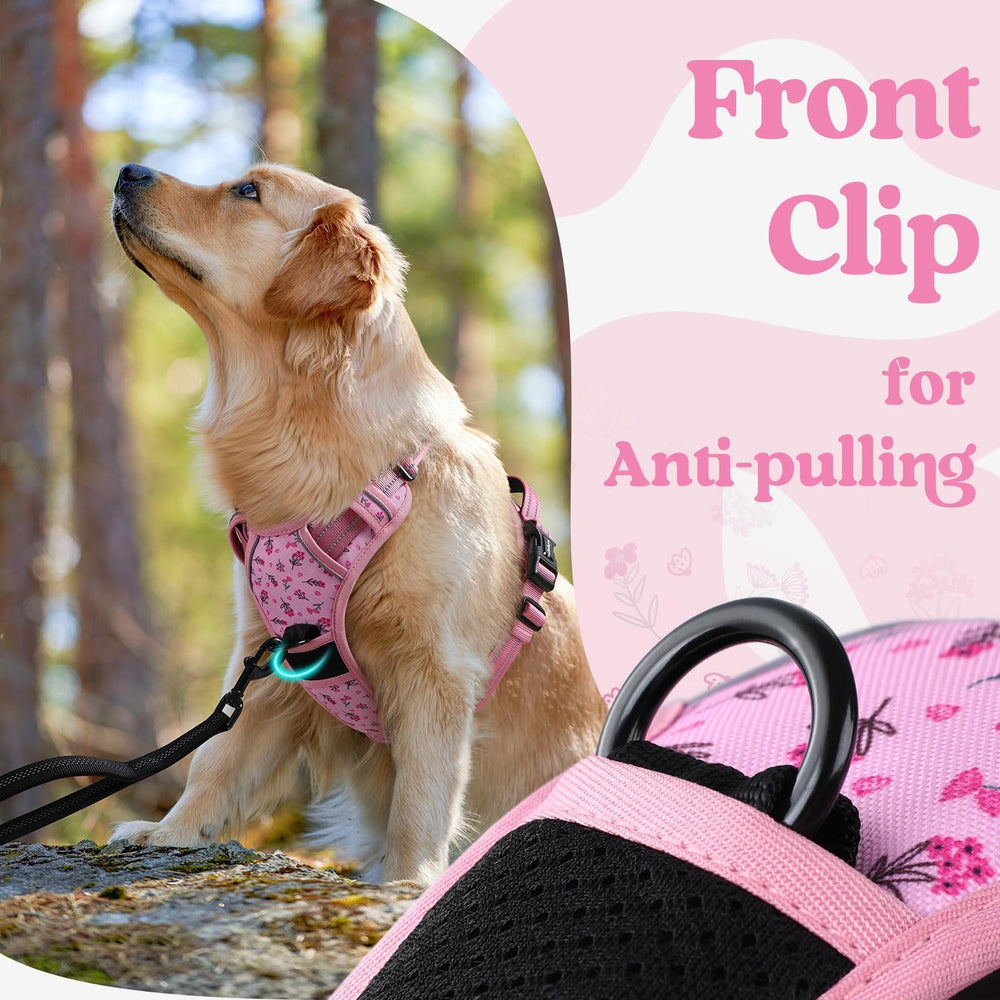 Harnais Rabbitgoo pour chien moyen, poignée supérieure ergonomique pour un contrôle facilité