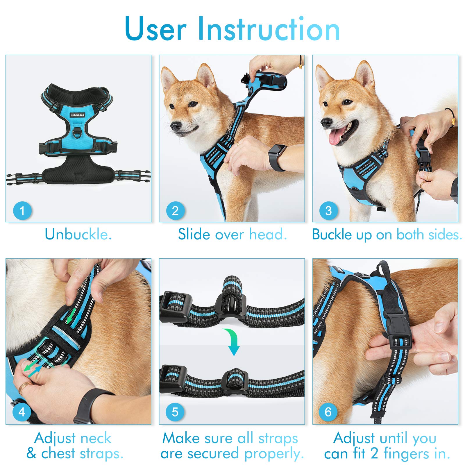 Bleu élégant Rabbitgoo, design pratique pour promenades contrôlées