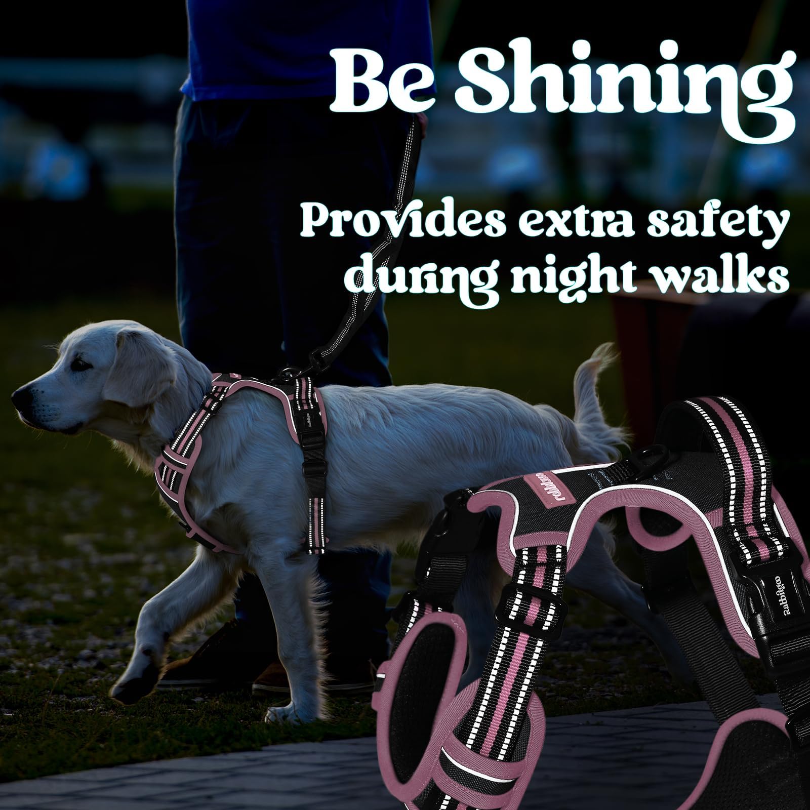 Harnais Rabbitgoo pour chien moyen, idéal pour promenades nocturnes sécurisées.