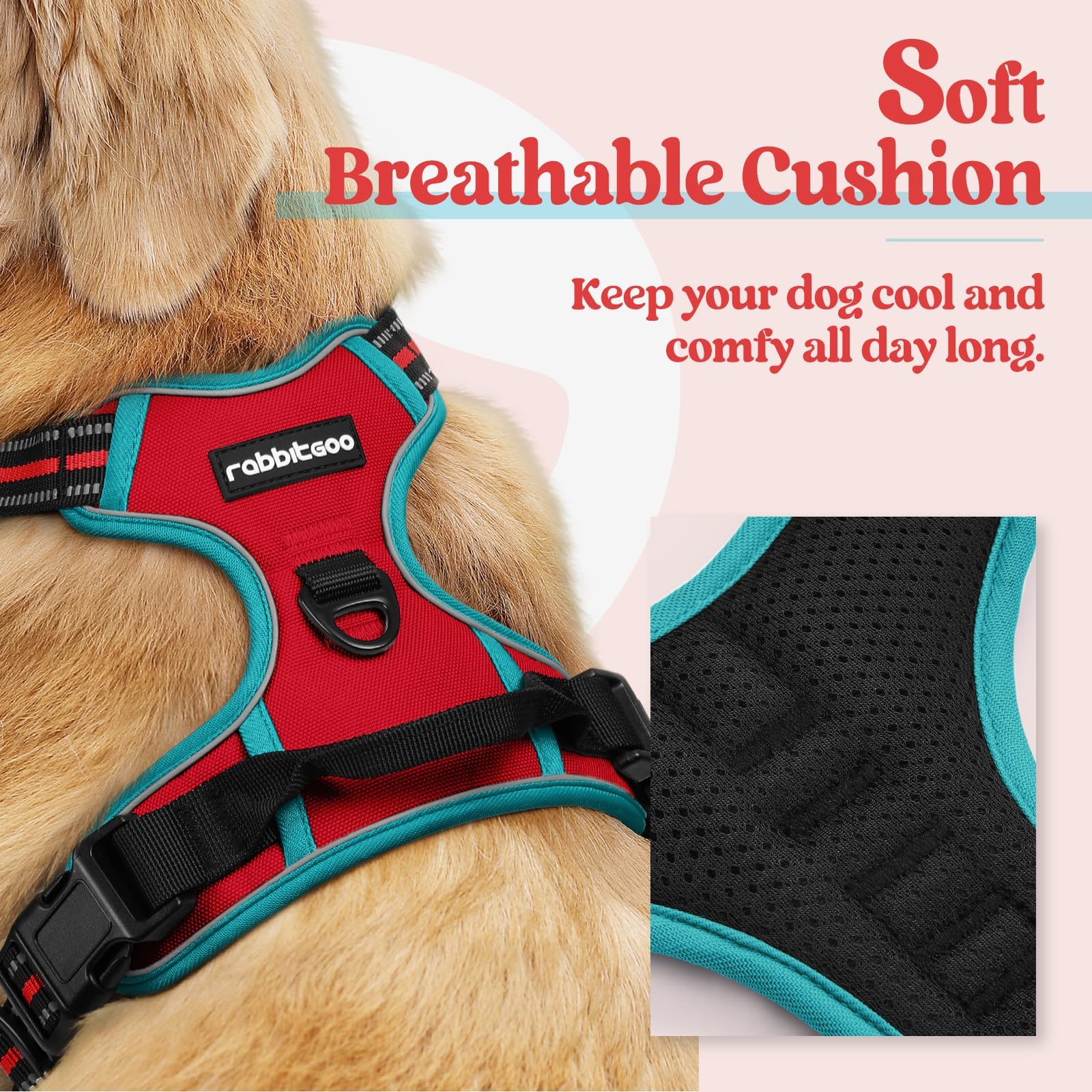 Rabbitgoo harnais moyen rembourrage doux et mesh respirant pour chien confortable