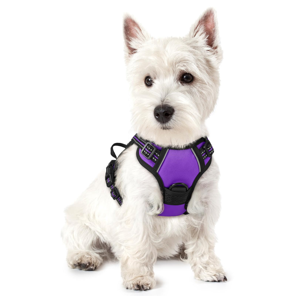Harnais Rabbitgoo pour chien – face avant, anti-tir pour des promenades calmes.