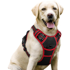 Harnais rabbitgoo pour chien avec deux attaches pour un contrôle renforcé lors des promenades