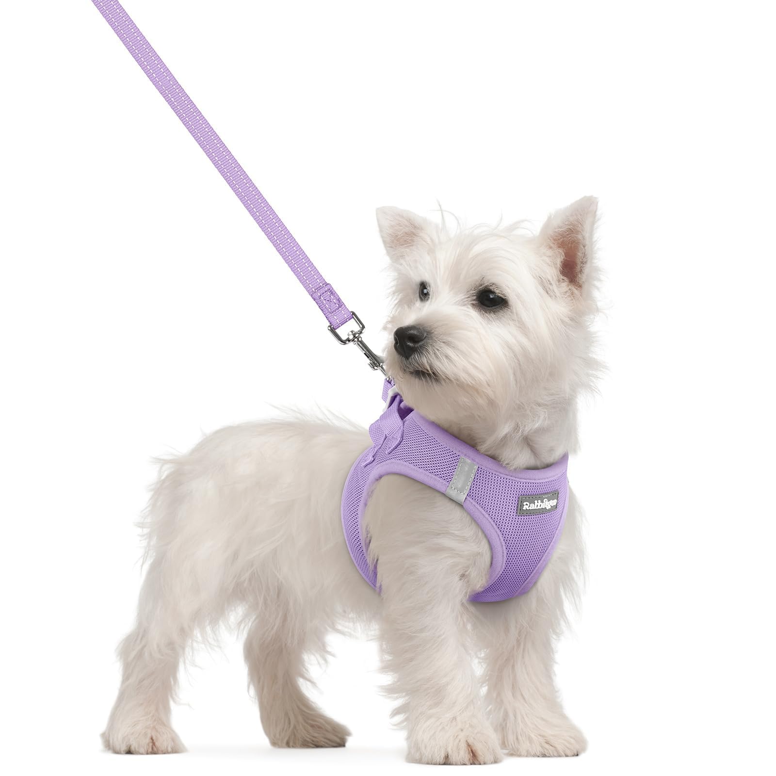 Harnais Rabbitgoo petit chien step-in, confort et mise en place simplifiée