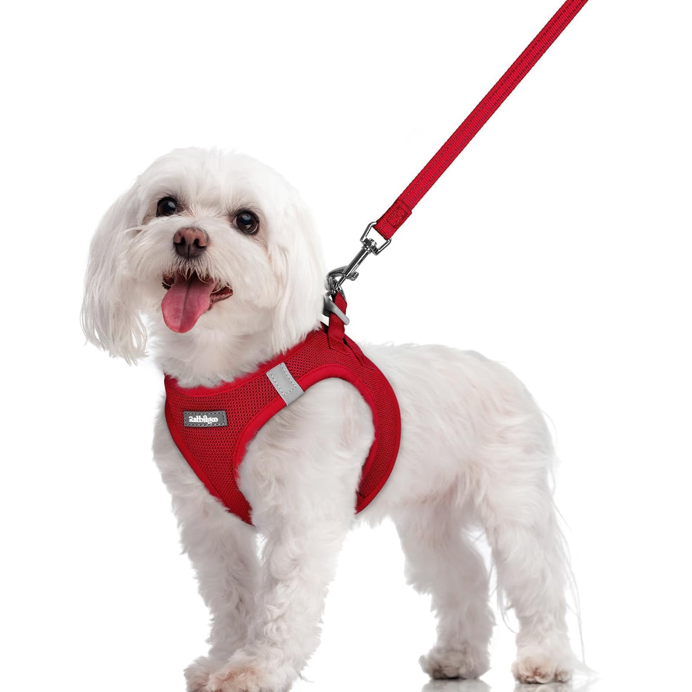 Harnais Rabbitgoo pour petit chien, enfilage rapide en rouge pour les promenades.