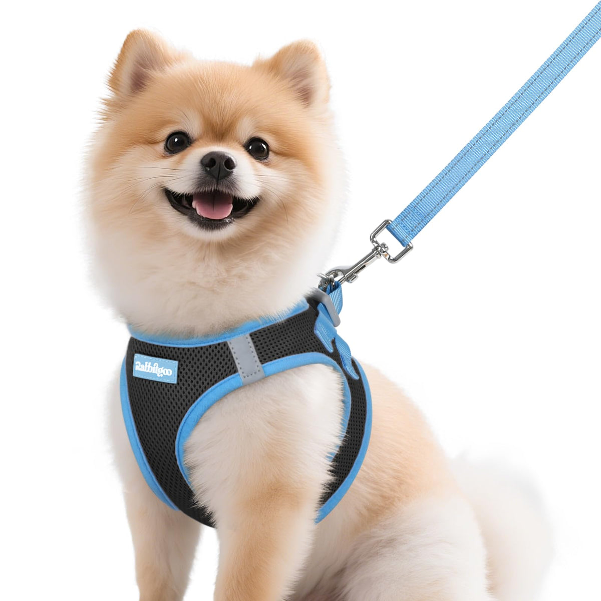 Harnais rabbitgoo prêt à enfiler pour petit chien, confort et facilité.