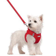 Harnais rabbitgoo pour chien petit, enfiler facilement pour un ajustement rapide et confortable.