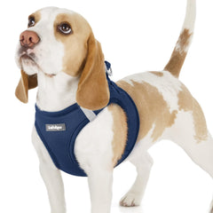 Harnais Rabbitgoo pour petit chien a entree par l'avant et maillage doux.